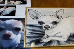 Giftdog