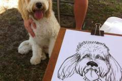 Partydog-daze
